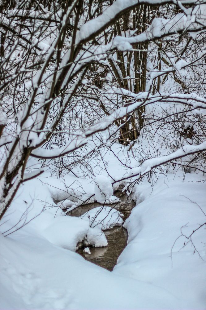 Photograph by Alyona Pravel’eva