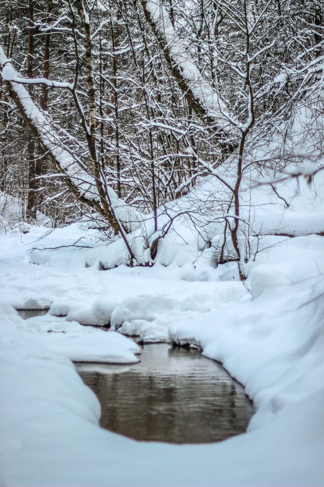 Photograph by Alyona Pravel’eva