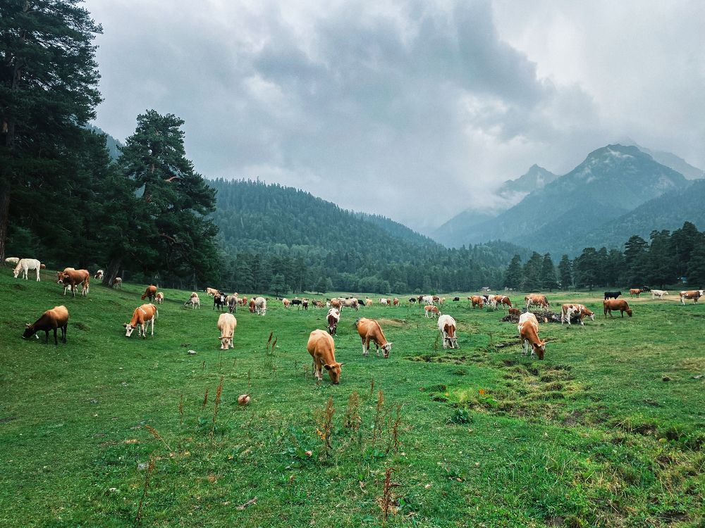 Photograph by Ирина Павленко