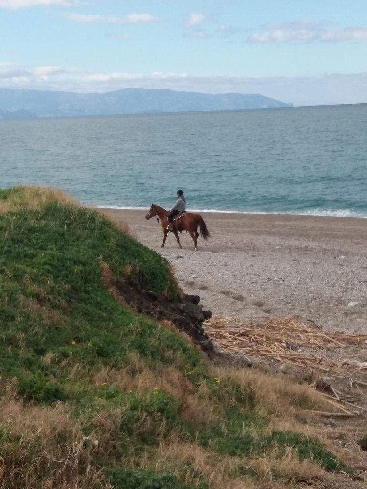 Photograph by WANDA OZIERANSKA