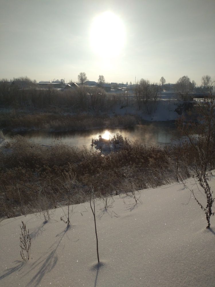 Photo #7093155