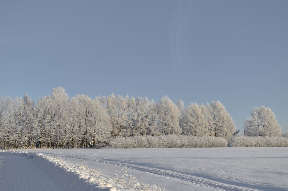 Photograph by Екатерина Климовцева