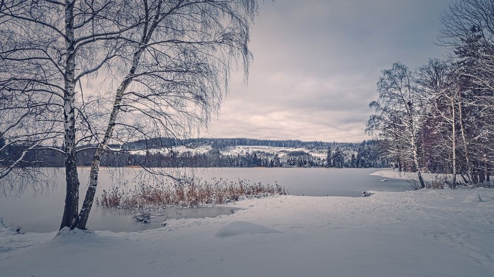 Photograph by Jan Musil