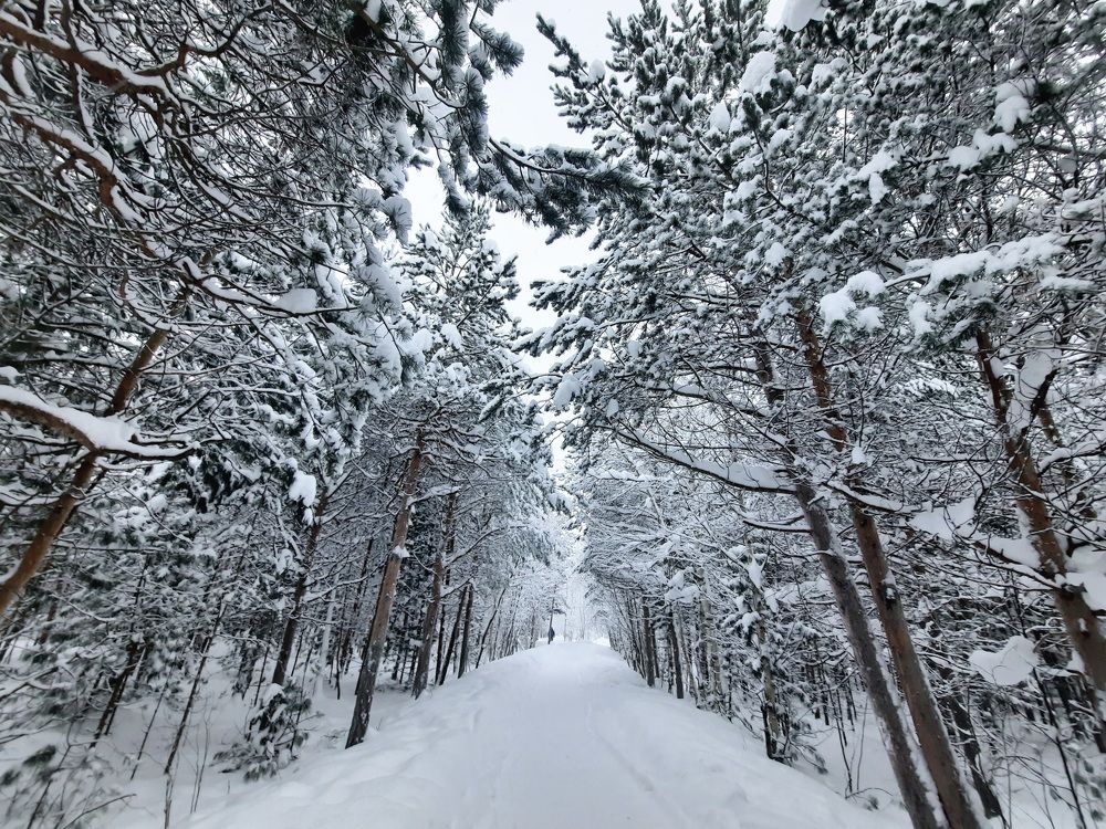 Photograph by Людмила