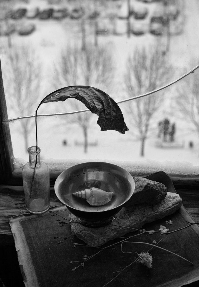 Photograph by Мария Сапего