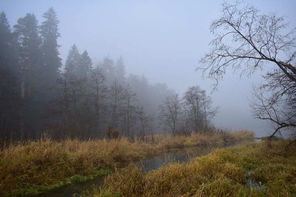 Photograph by Надежда Котовская