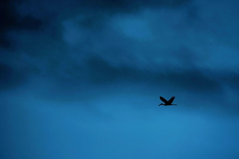 Photograph by Susanjit Saha