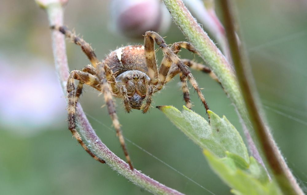 Photograph by Игорь Осипов