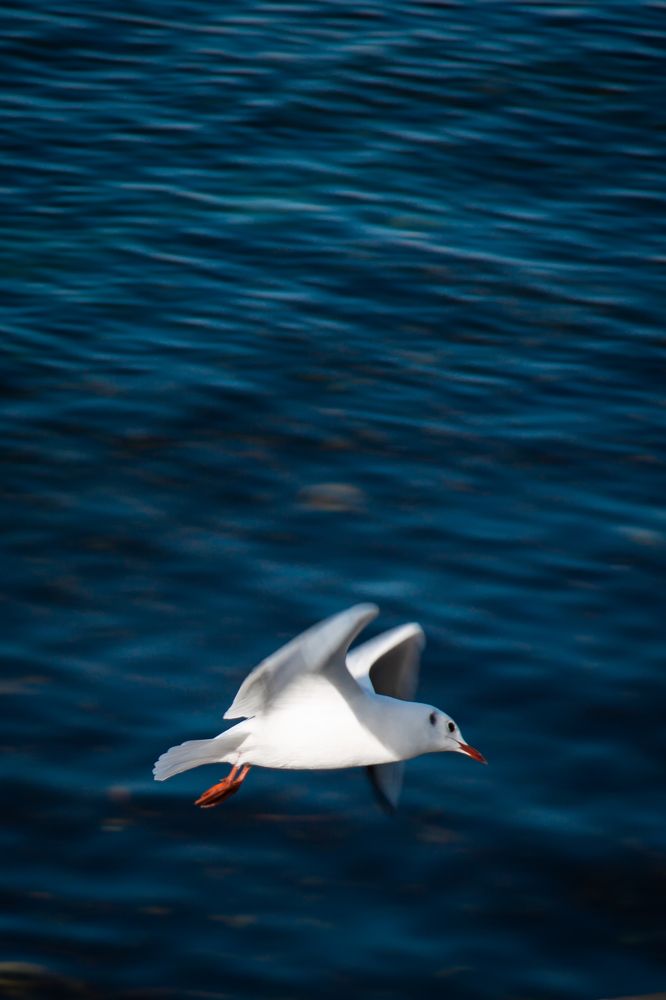 Photograph by Ева Николаева