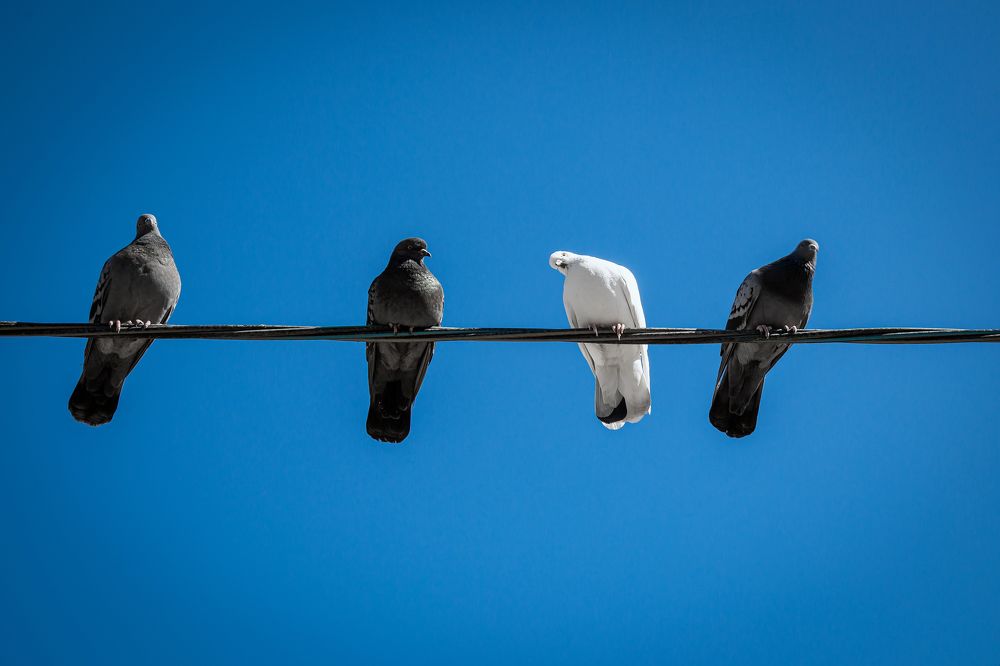 Photograph by Ева Николаева