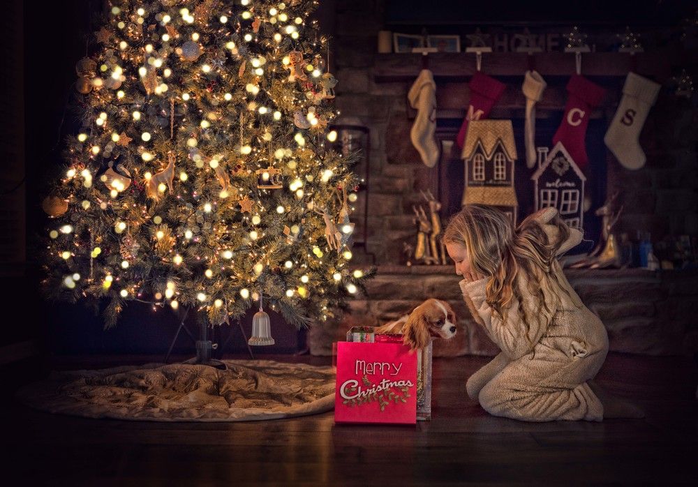 Photograph by Marta Muzylowski