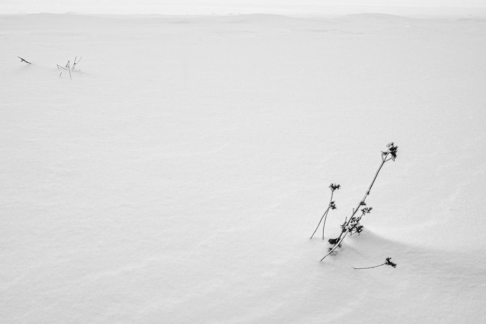 Photograph by Jan Musil