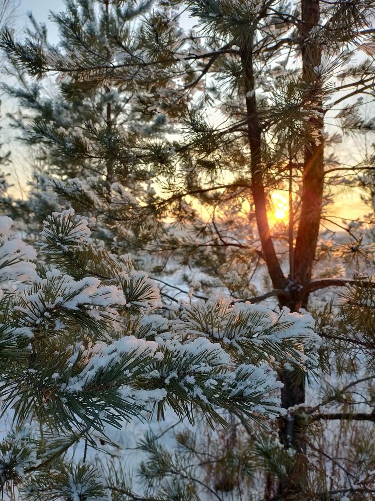 Photograph by Татьяна Герасименко