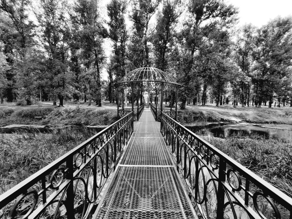 Photograph by Людмила