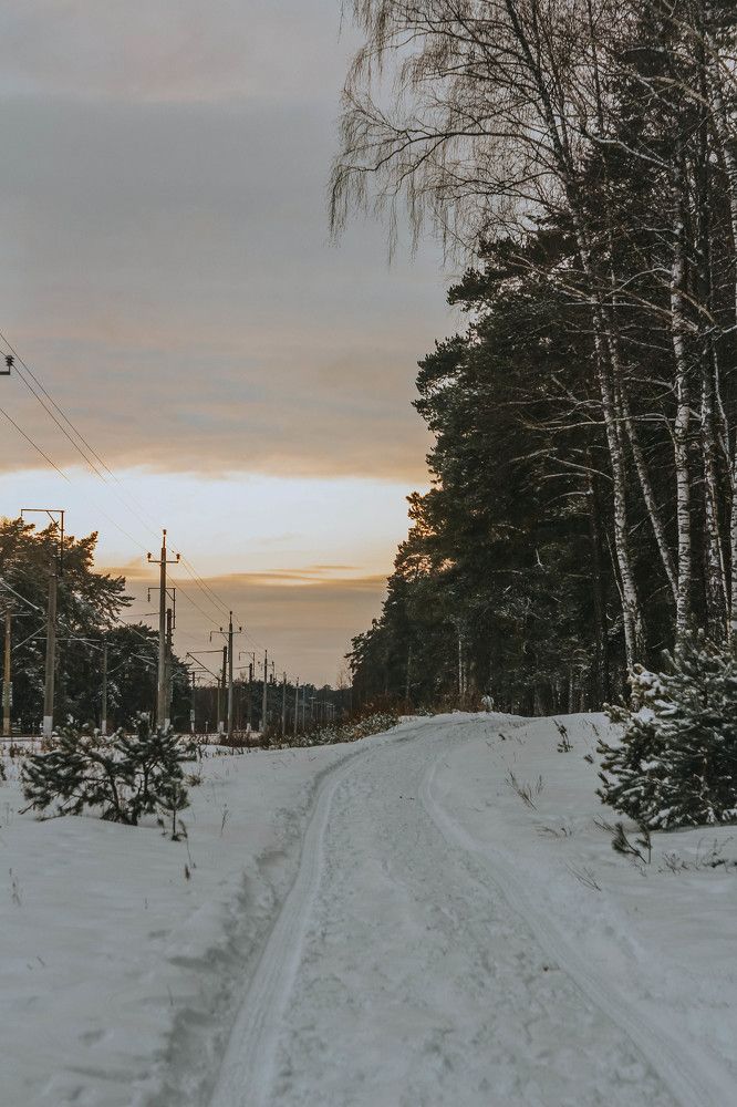 Photograph by Наталья Митченкова