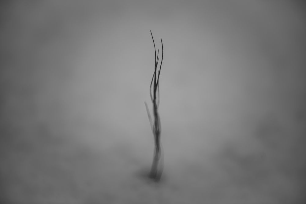 Photograph by Артем Полинин