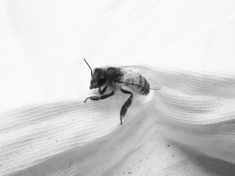 Photograph by Mahmoud Ahmed