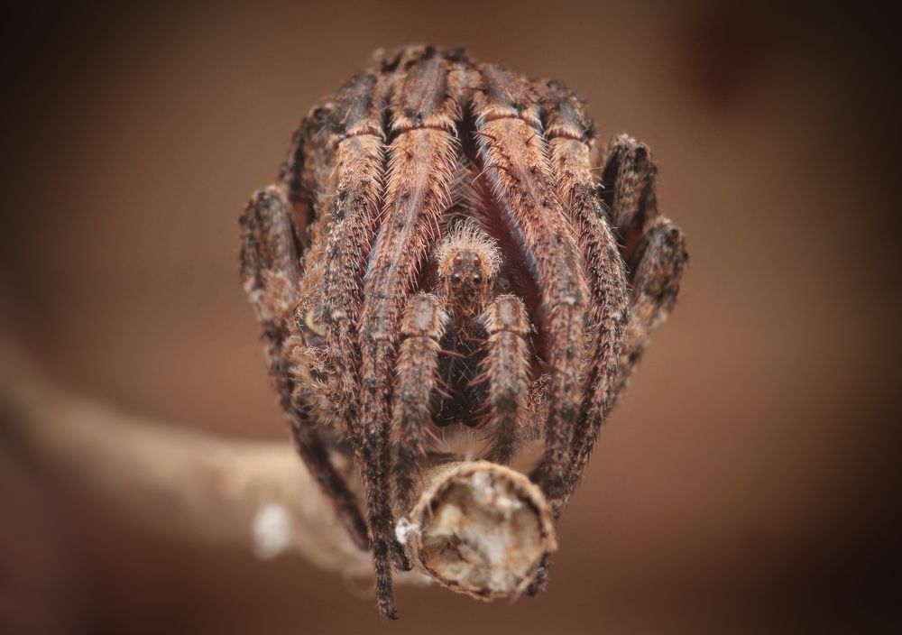 Photograph by Mark Kineth Casindac