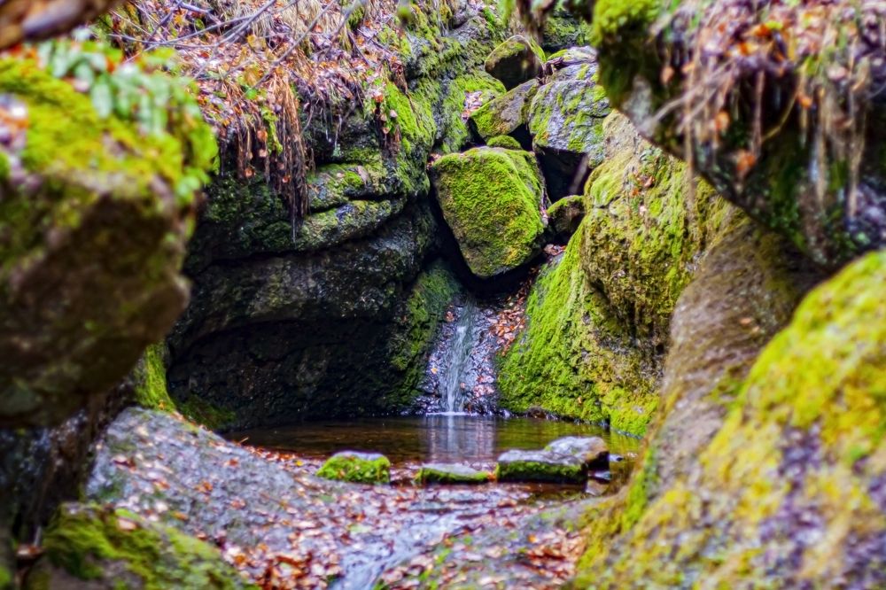 Photograph by Азамат Алпаров