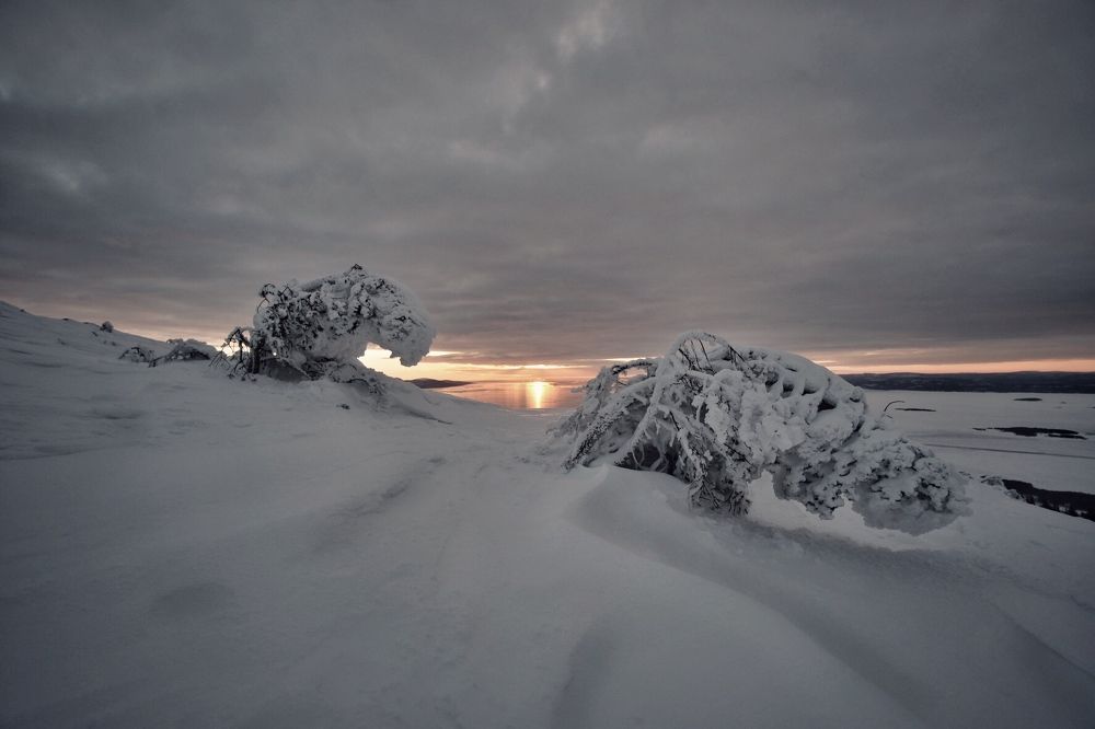 Photograph by Андрей Лабутин