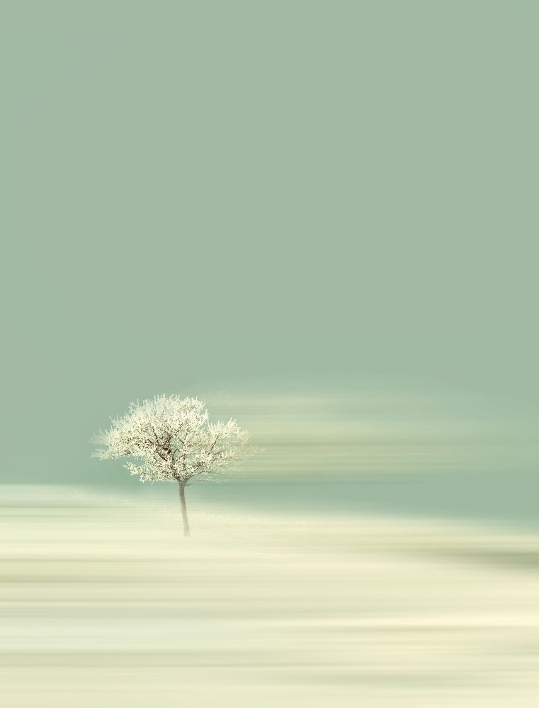 Photograph by Petya Lazarova