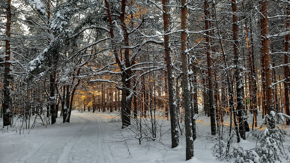 Photograph by Павел Бутко