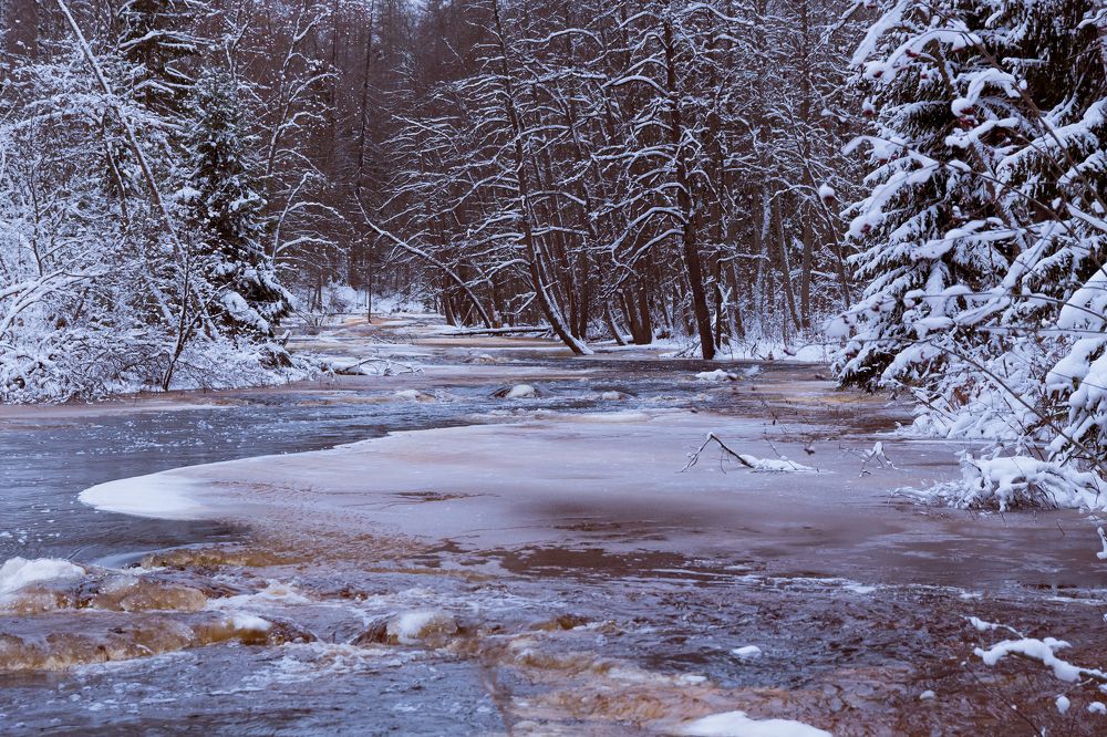 Photograph by Инна Юдина