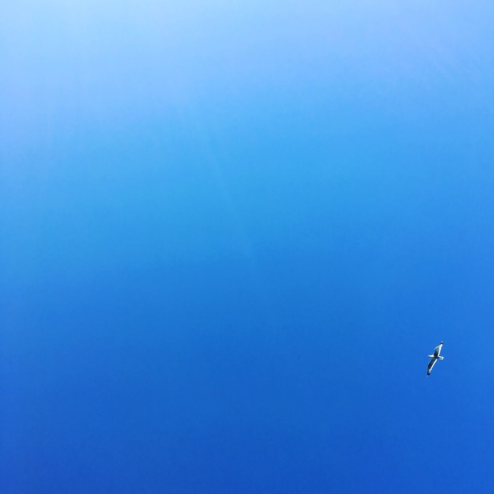 Photograph by Denis Chigintsev