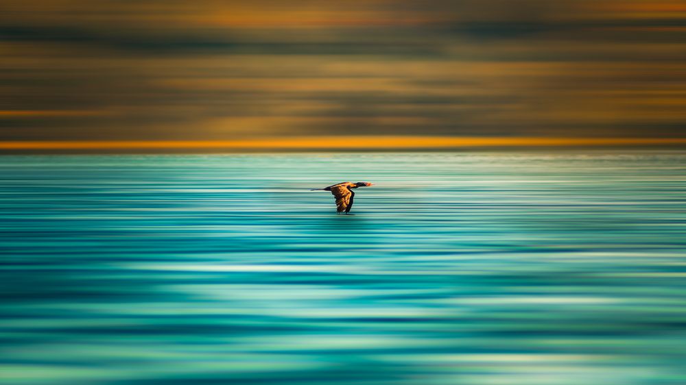 Фотография автора Carlos Jimenez