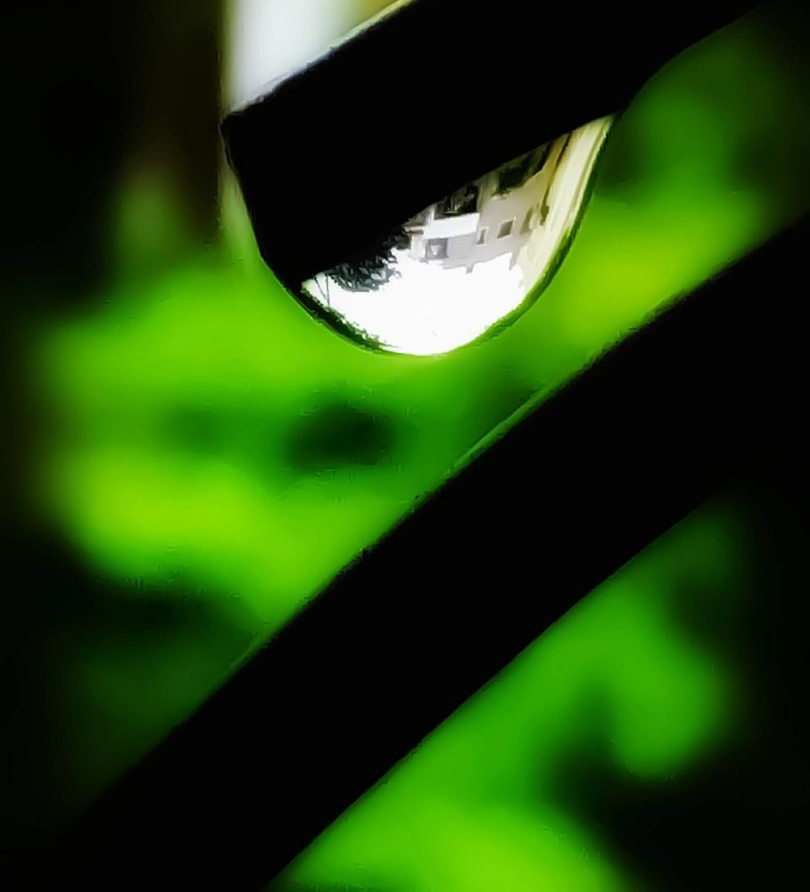 Photograph by ISHANK DESHPANDE