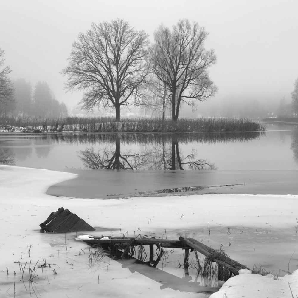 Photograph by Ivars Skudra