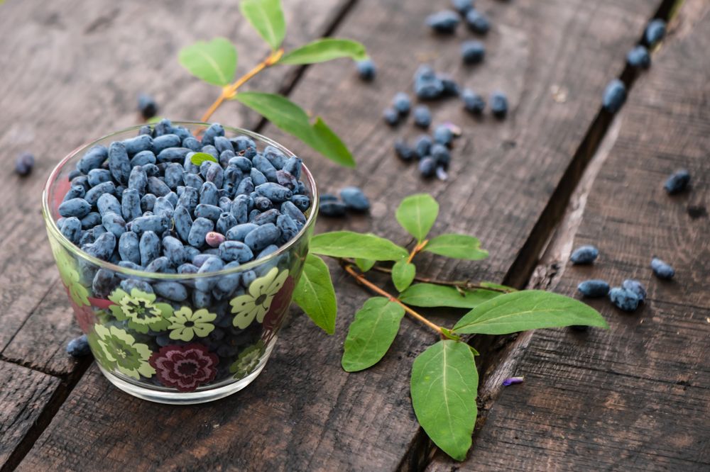 Photograph by Татьяна