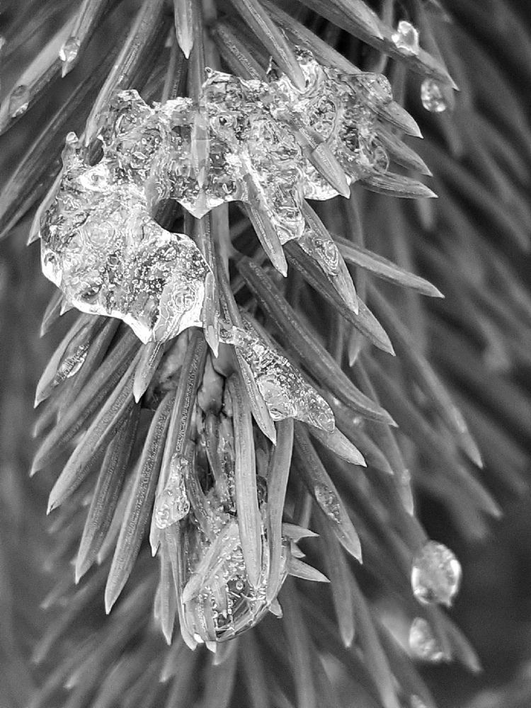 Photograph by Евгения Ульянова