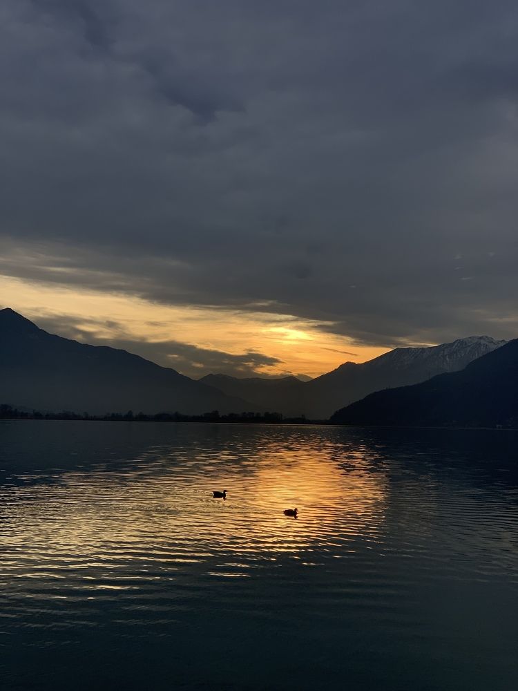 Photograph by Жанна Думинская