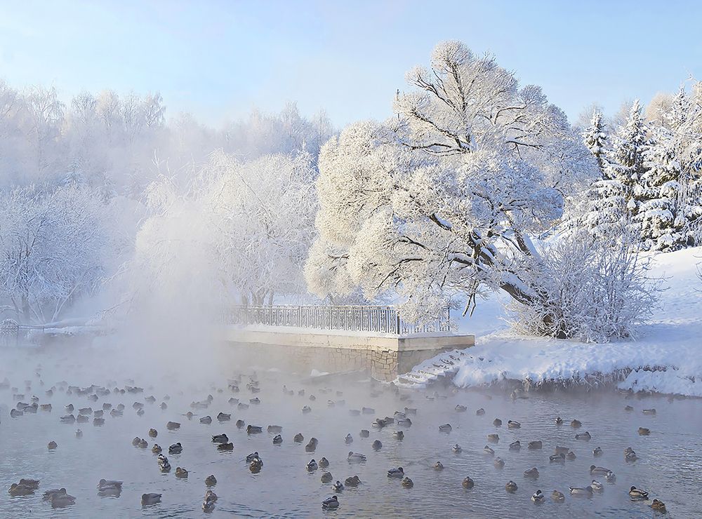 Морозное дыхание зимы