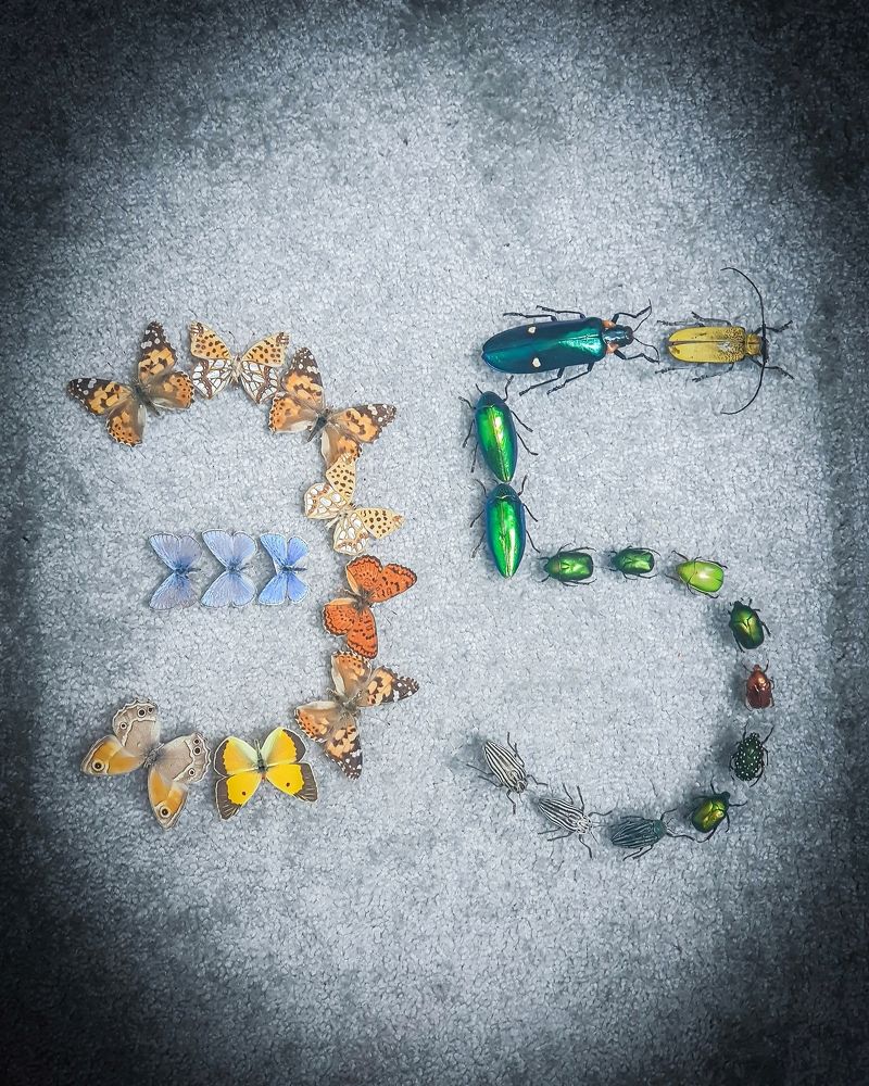 Photograph by Erfan Jahanbazi