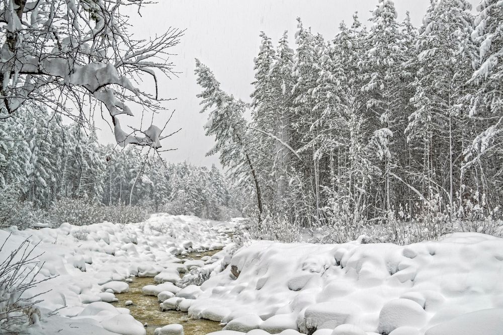 Photograph by Елена Ковалева