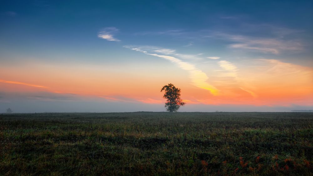 Photograph by Александр Никитинский