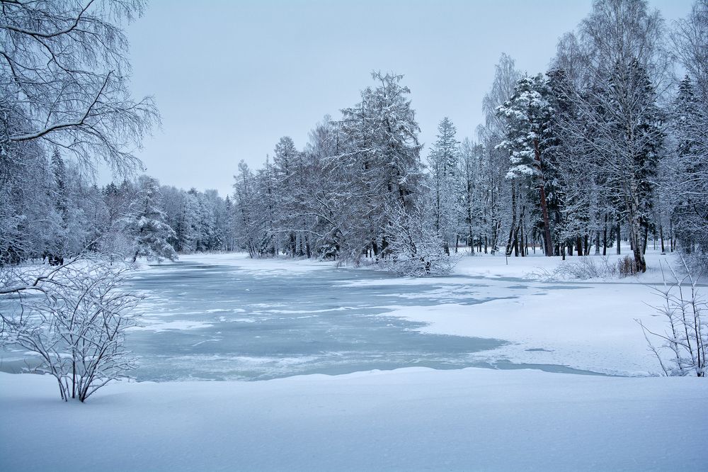 Фотография автора Aлена Хлопова