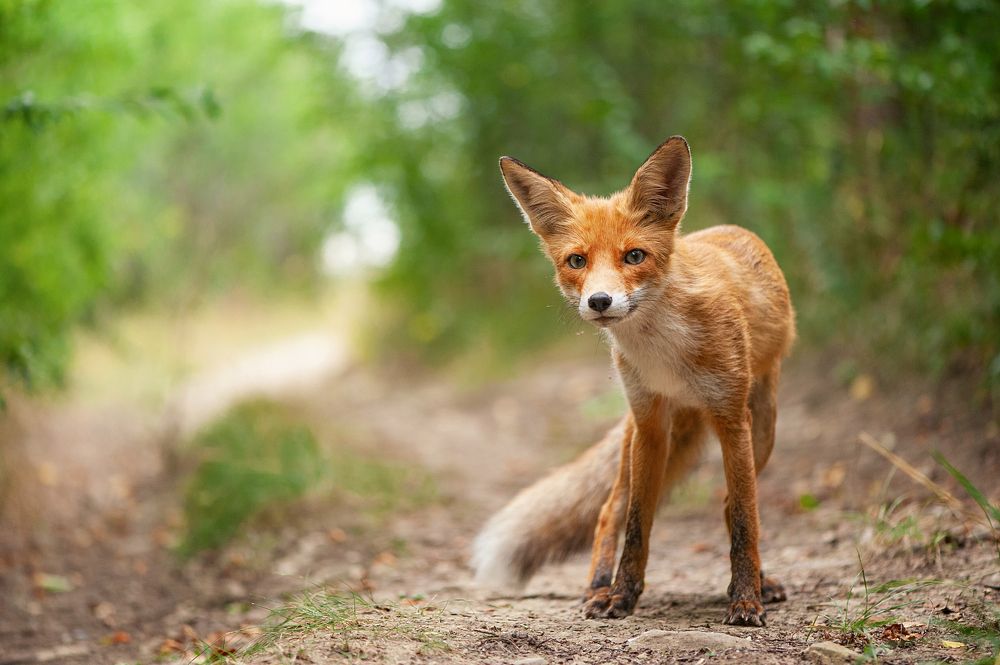 Photograph by Татьяна Жеребцова