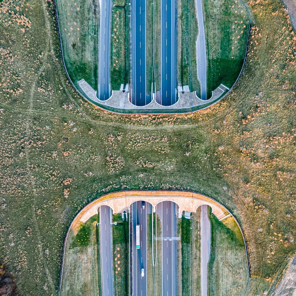 Фотография автора MARK Kupczewski