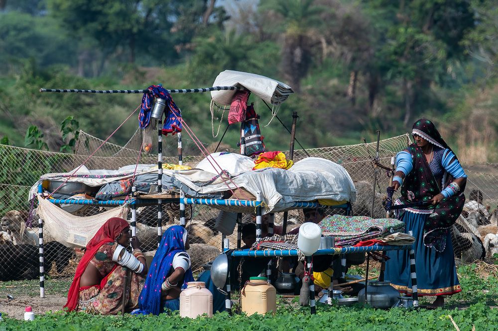 Photograph by Gurvinder Chhabra