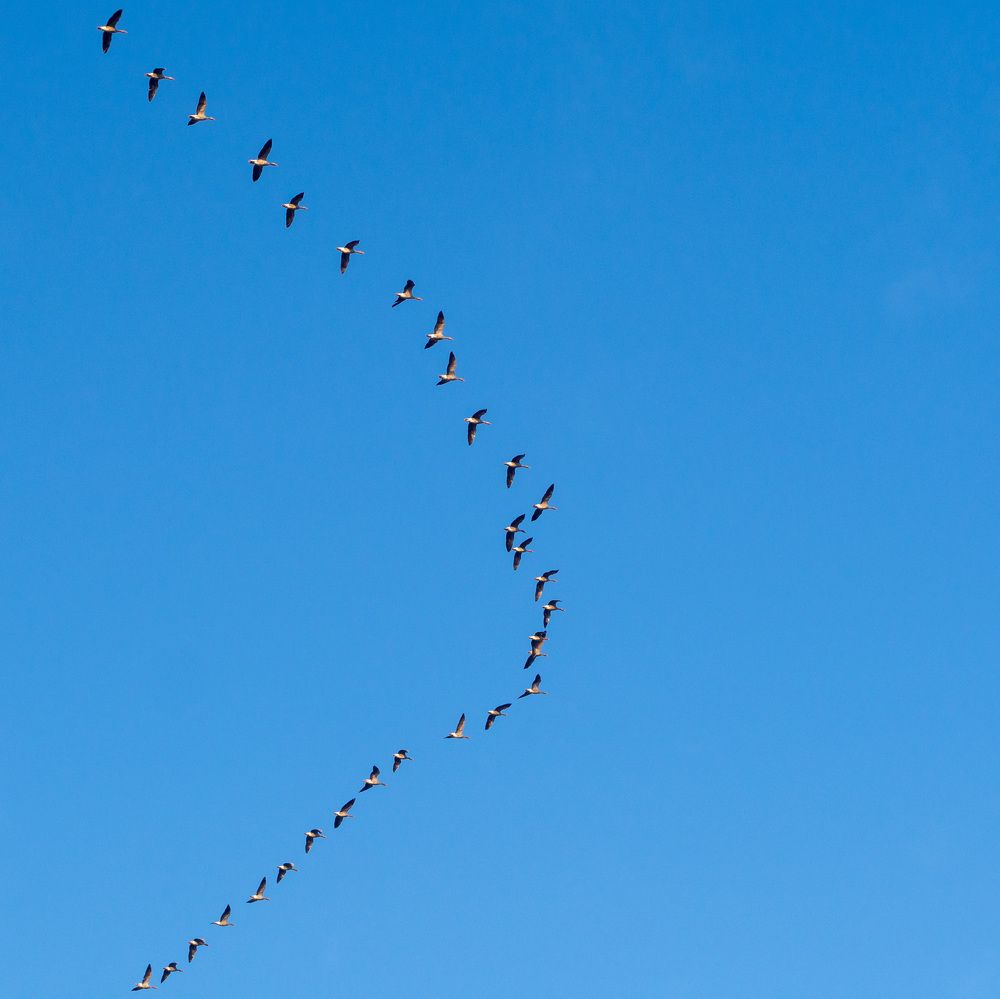 Фотография автора Denes Doma