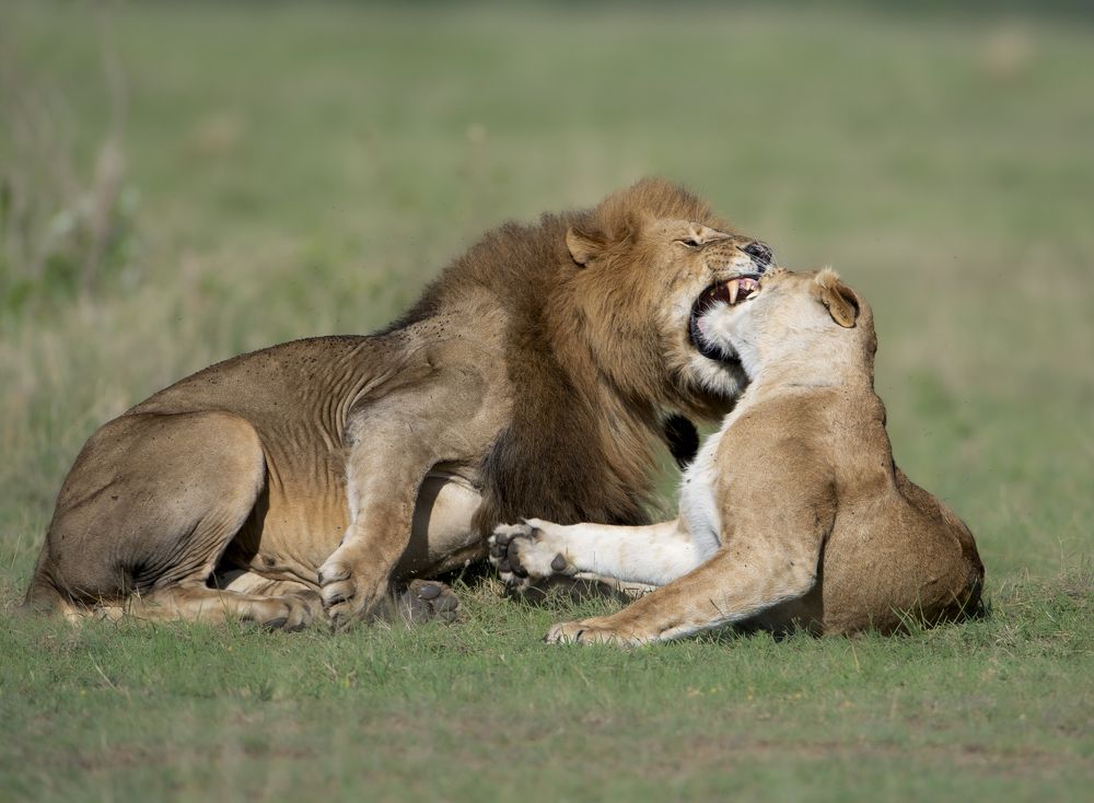 Photograph by Dilip Shah