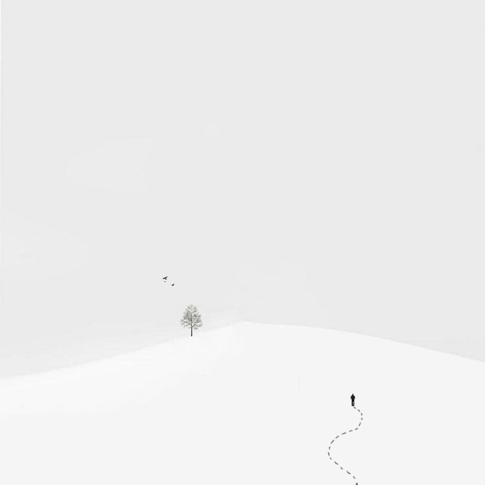 Фотография автора Mojtaba Gitinezhad