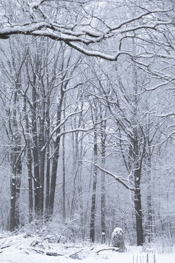 Снежная сказка