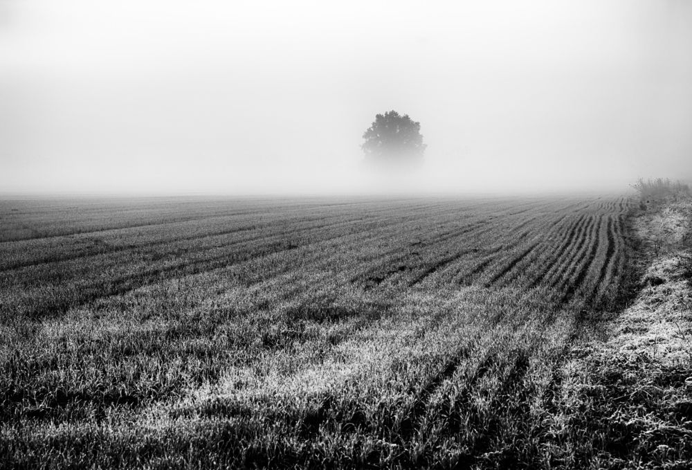 Photograph by Ivanka Iantcheva