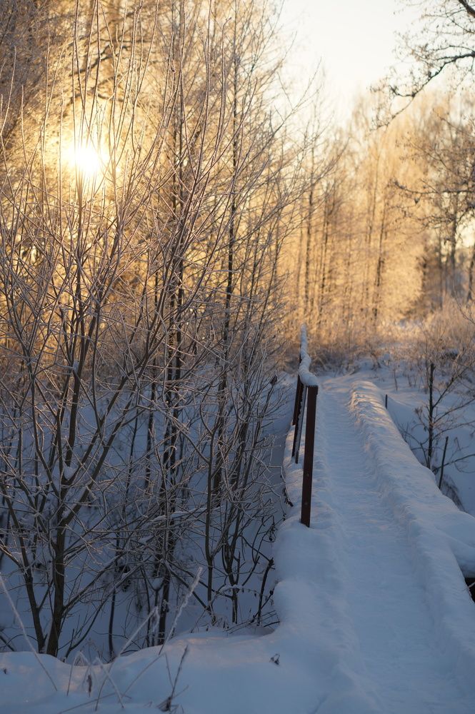 Photograph by Зыкова Юлия