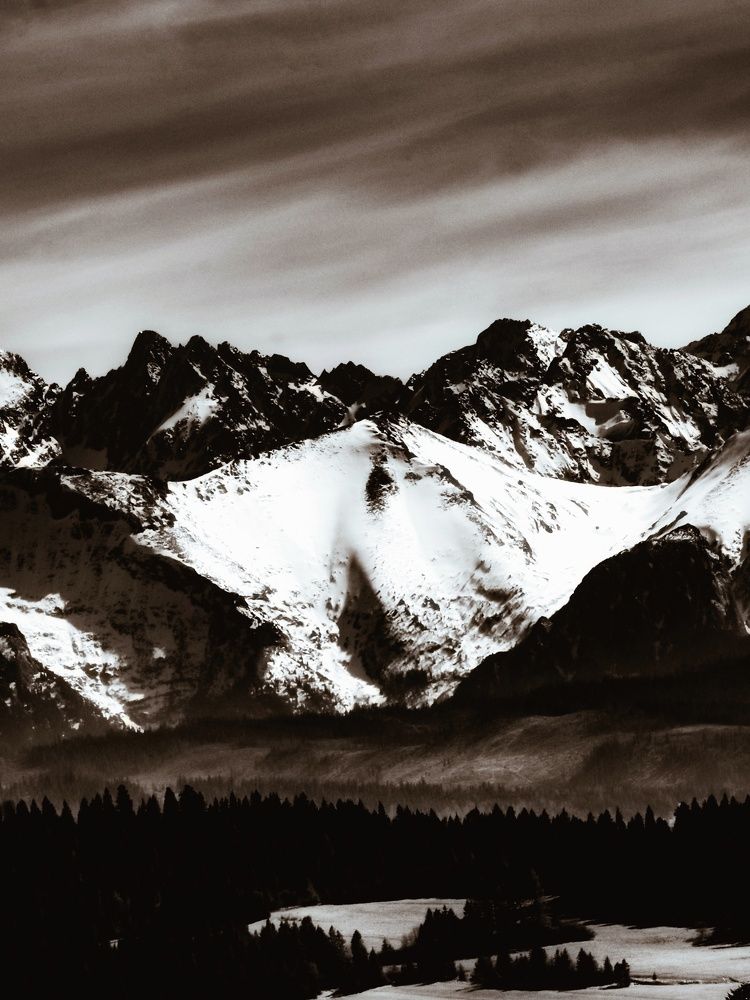 Photograph by Adam Lorenc