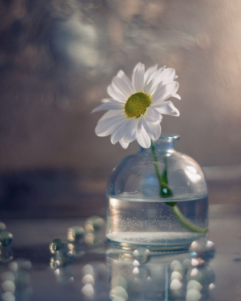 Photograph by Тата Бакбак